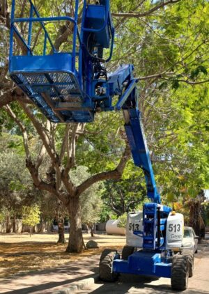במת זרוע מפרקית דיזל Z-51
